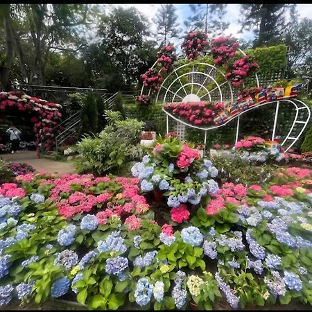 Miaoli Sanyi Shantongyazhu Homestay エクステリア 写真