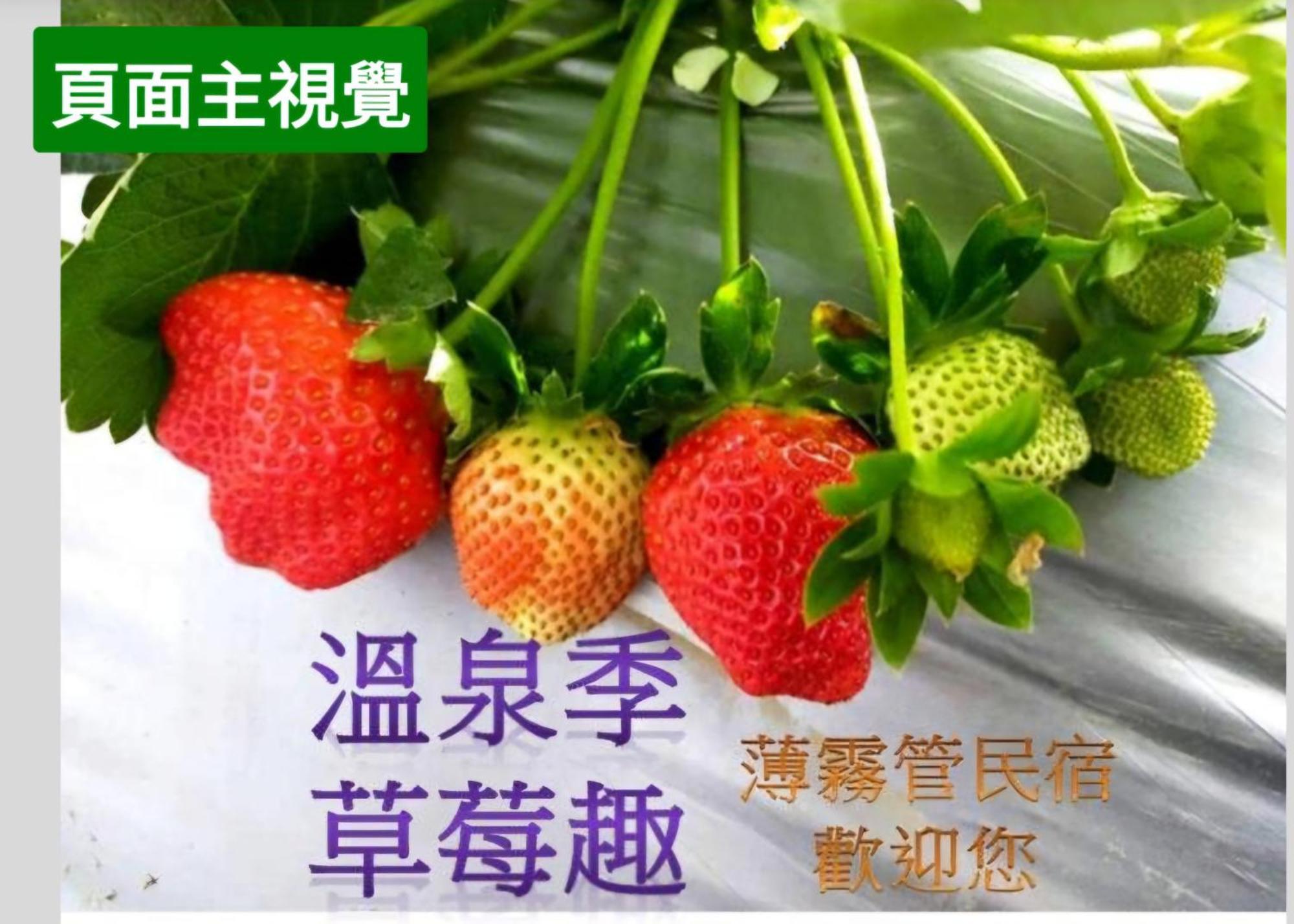 Miaoli Sanyi Shantongyazhu Homestay エクステリア 写真
